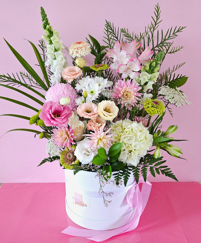 Magnum | Hat Box Arrangement - Mini Petals Florist